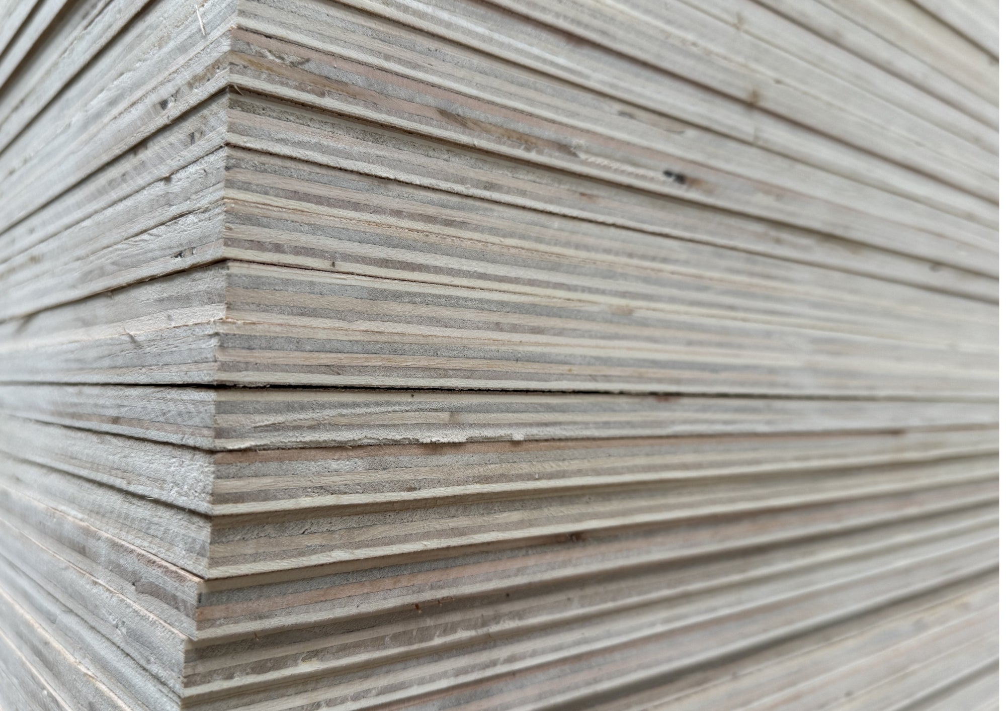 Packaging Plywood 12mm